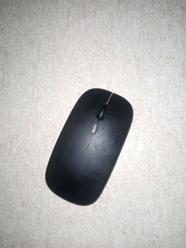 Mouse used