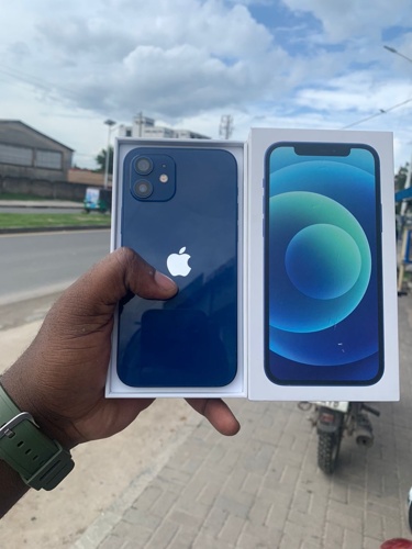 Iphone 12 Plain