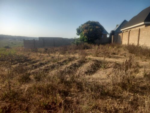 Shamba Sq10000 kiseke