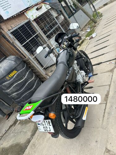 Boxer for sale 