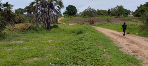 kiwanja mbutu kichangani 