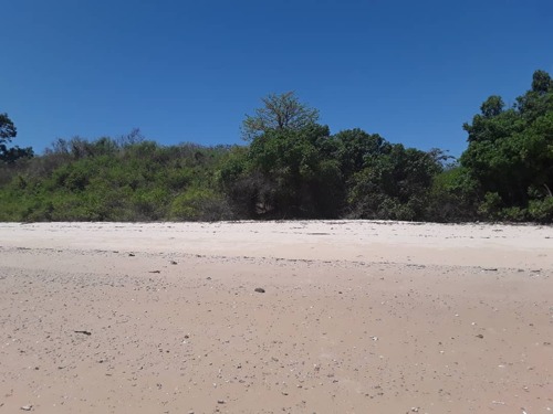 Beach plot for sale at kikokwe pangani