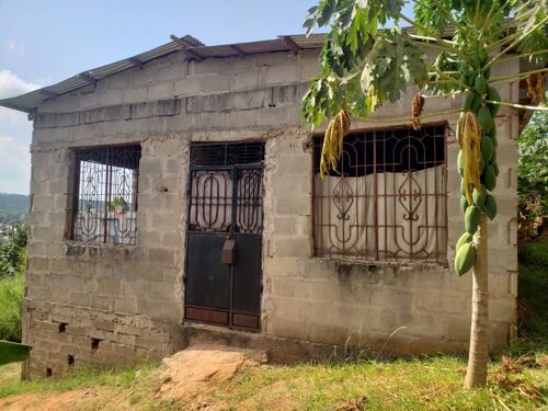 Pagale linauzwa  mbezii Msumi 