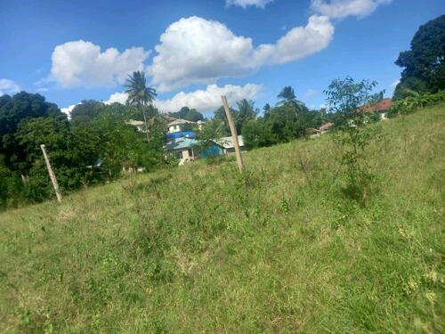 VIWANJA VINAUZWA/ LAND PLOTS FOR SALE KIMARA TEMBONI