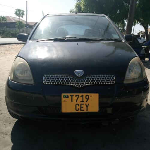 Vitz mnyama mkali