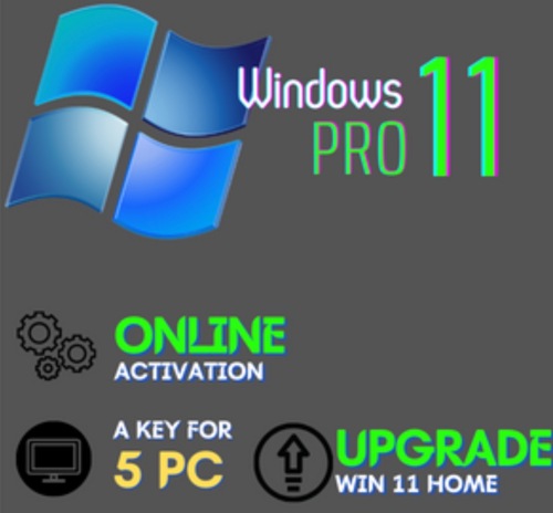 Microsoft Windows 11 Pro (5PC)