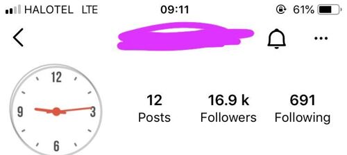 Instagram Followers 