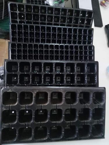 Seeds trays price per pc 1,500